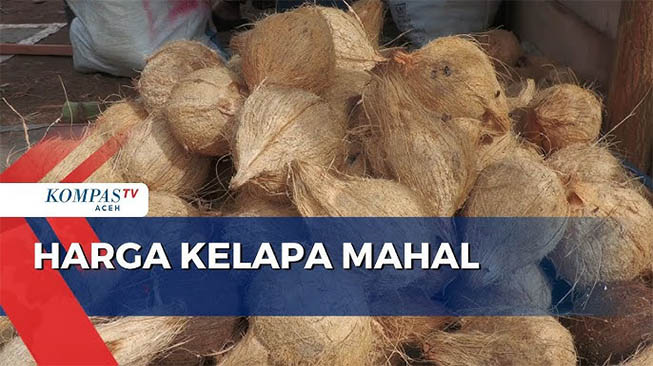 Harga Kelapa Parut Tembus Rp 25ribu Per Butir!